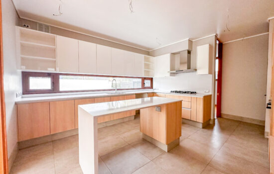 IMG_4429-1024x768-550x350