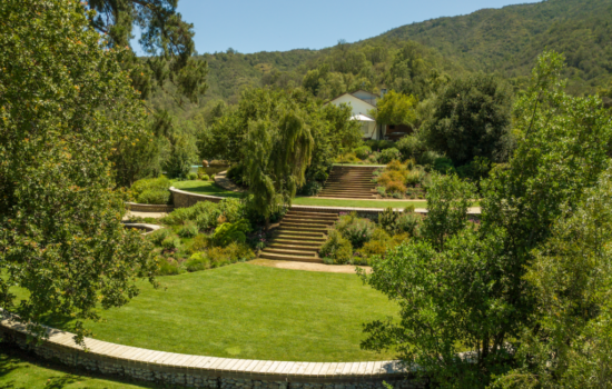 campo-8-1024x767-550x350